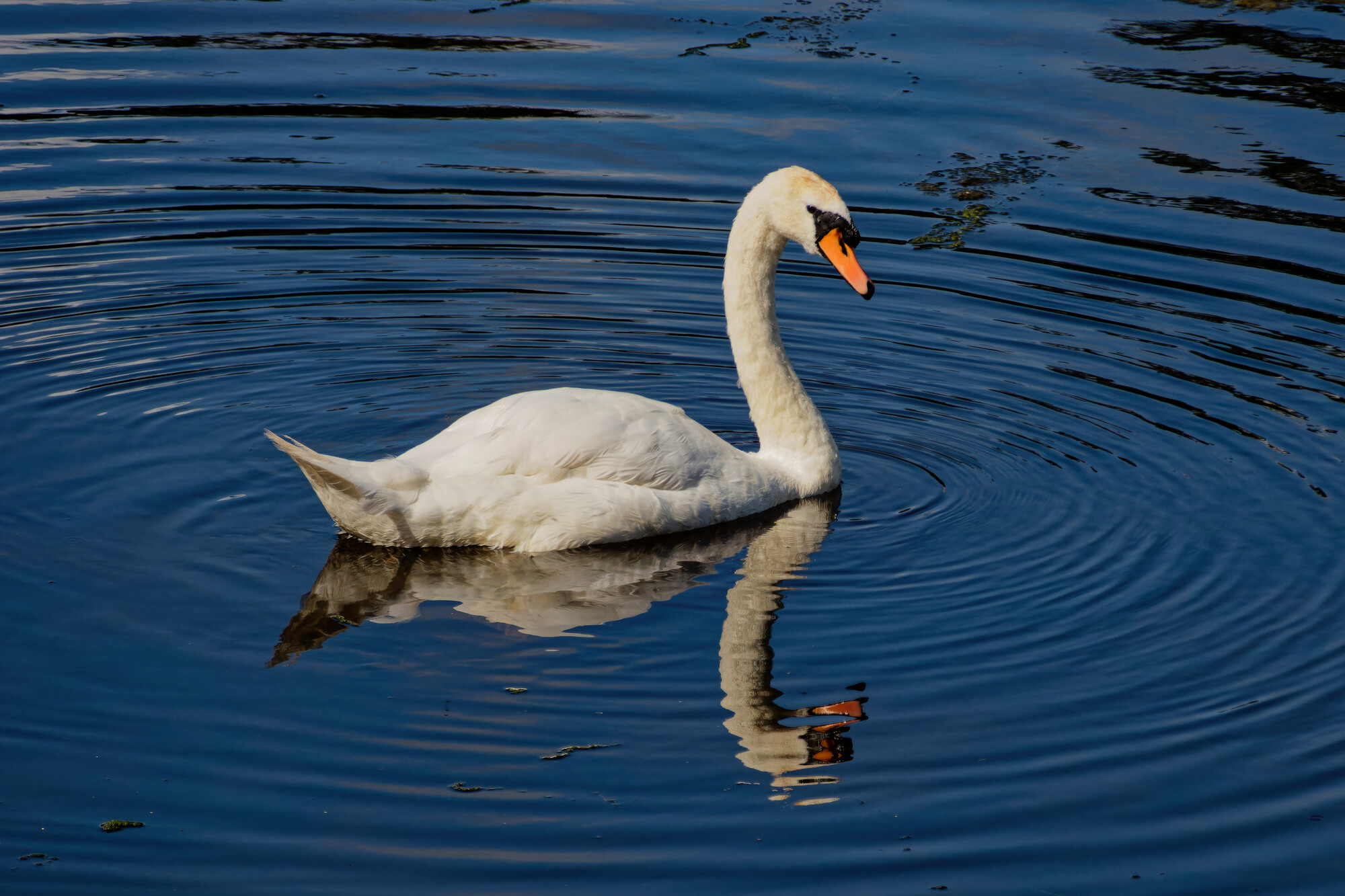 photographer dntphotographs nature  photo