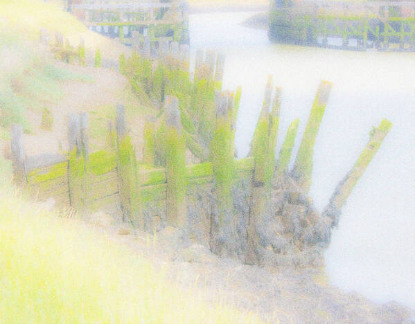 photographer CirroCu abstract modelling photo taken at River Arun, West Sussex
