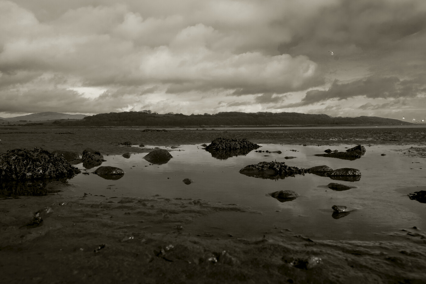 photographer Morph landscape  photo taken at Dumfries and Galloway