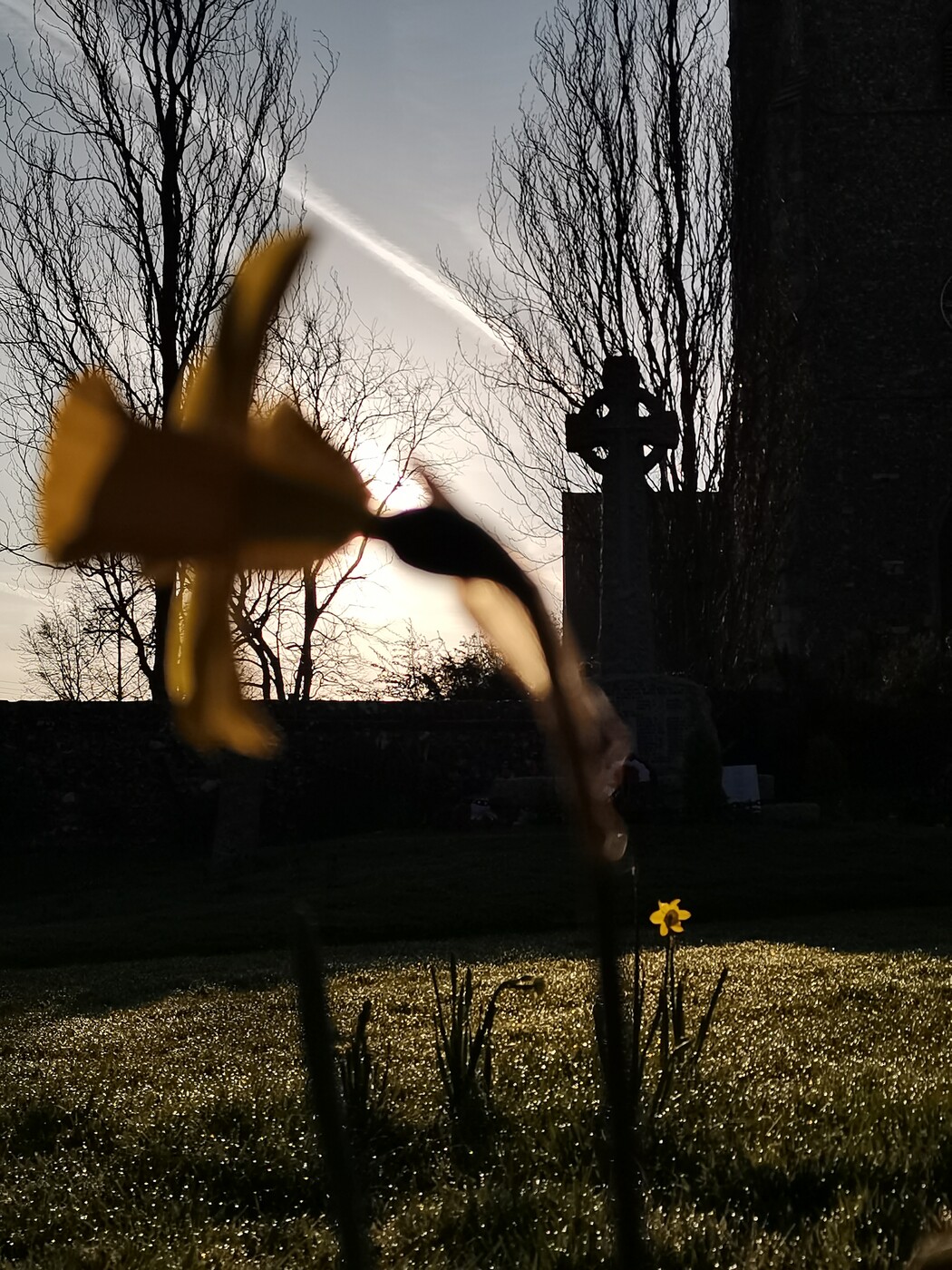 photographer KentTog outdoors  photo. catching the first rays in the churchyard .