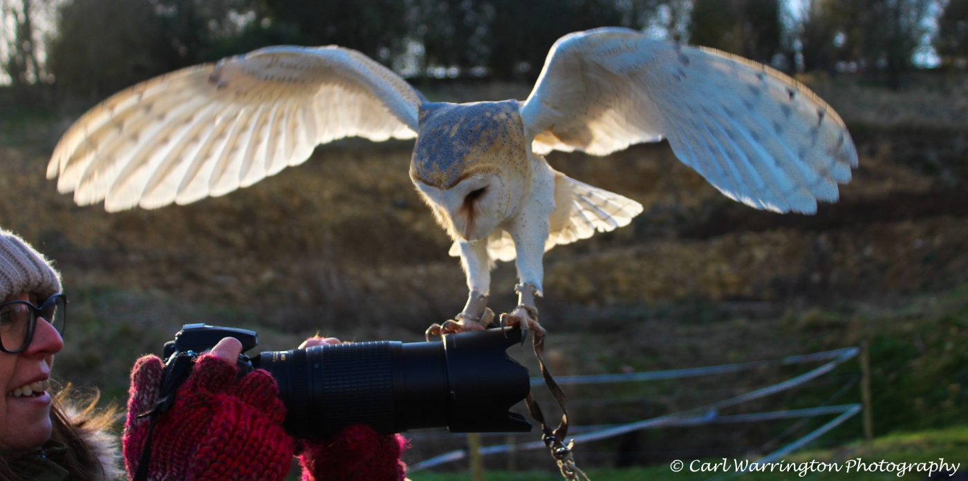 photographer RebelImages wildlife  photo. i have an owl on my lens.