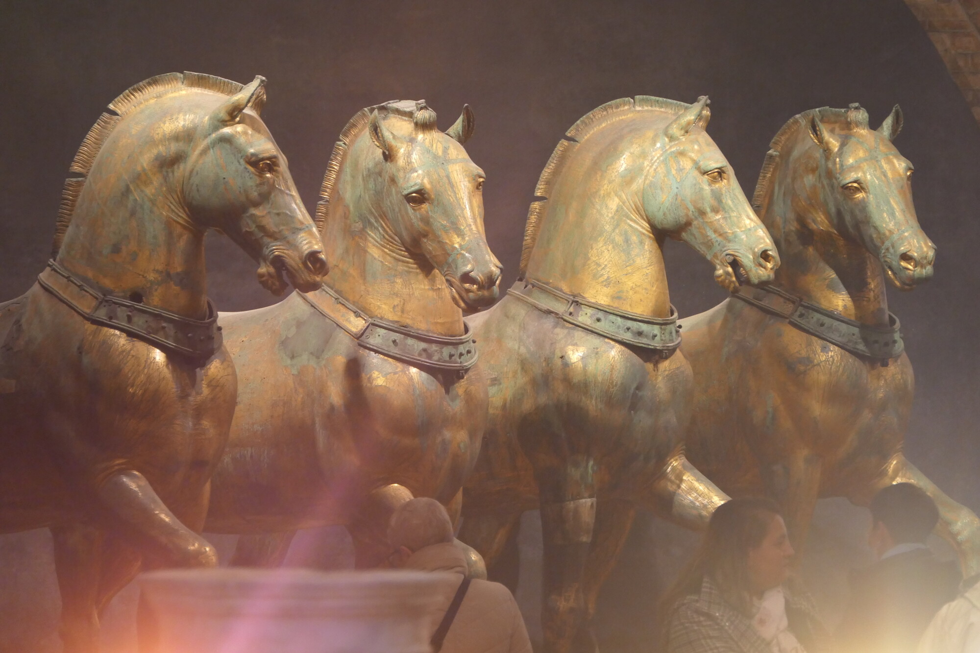 photographer Bitten by the Bug uncategorized  photo. these four lifesize bronze equestrian sculptures were part of the loot brought back to venice after the sack of constantinople in 1204  originally they were just part of a larger statue as they were pulling 