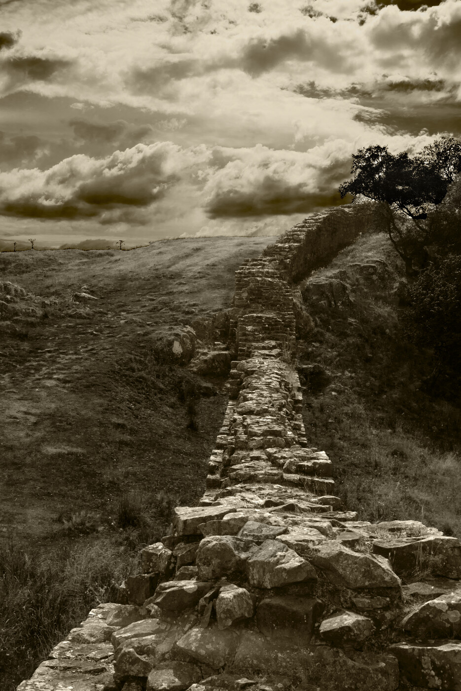 photographer Morph landscape  photo taken at Hadrian's Wall, Northumberland