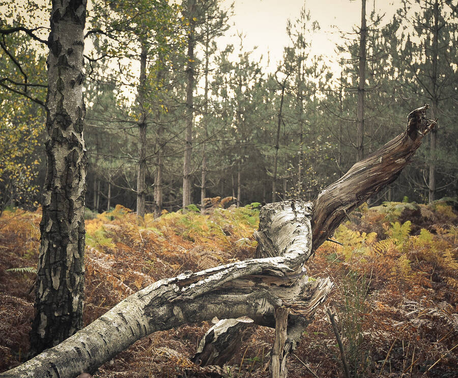 photographer Wilsonfotografie landscape  photo