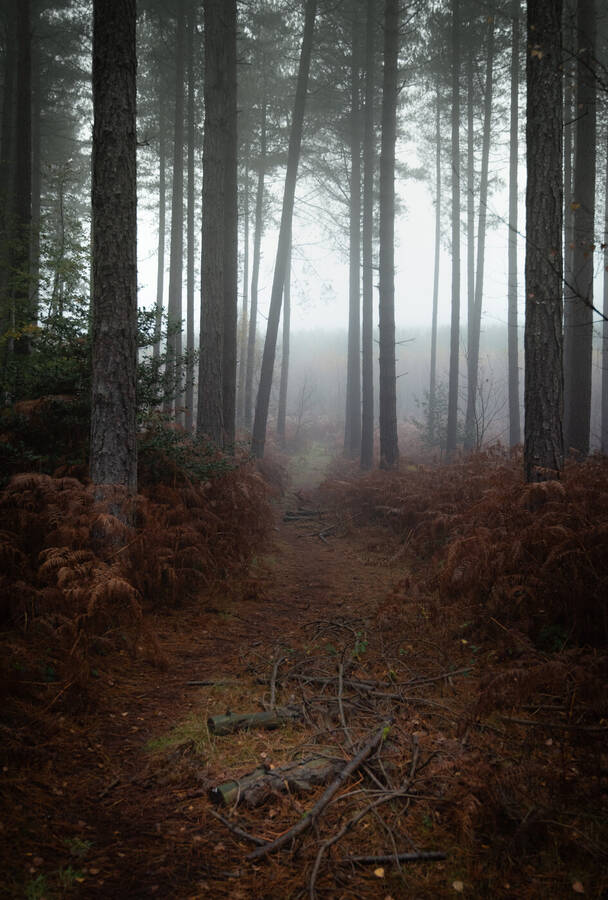photographer Wilsonfotografie landscape  photo