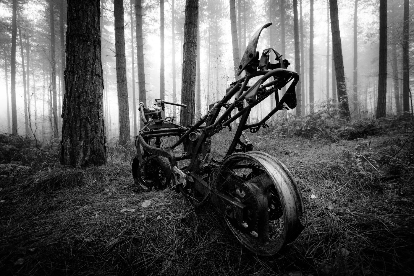 photographer Wilsonfotografie fine art  photo