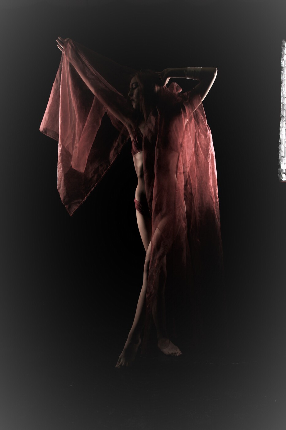 photographer Leigh White uncategorized  photo