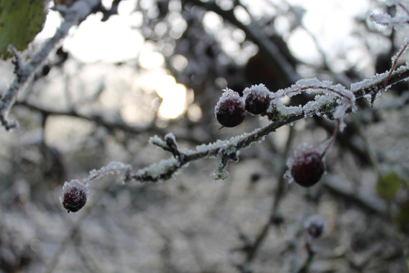 photographer Rebecca pitt  landscape  photo