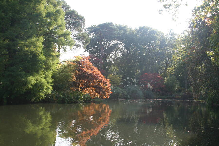 photographer Myddleton landscape  photo taken at Exbury Gardens