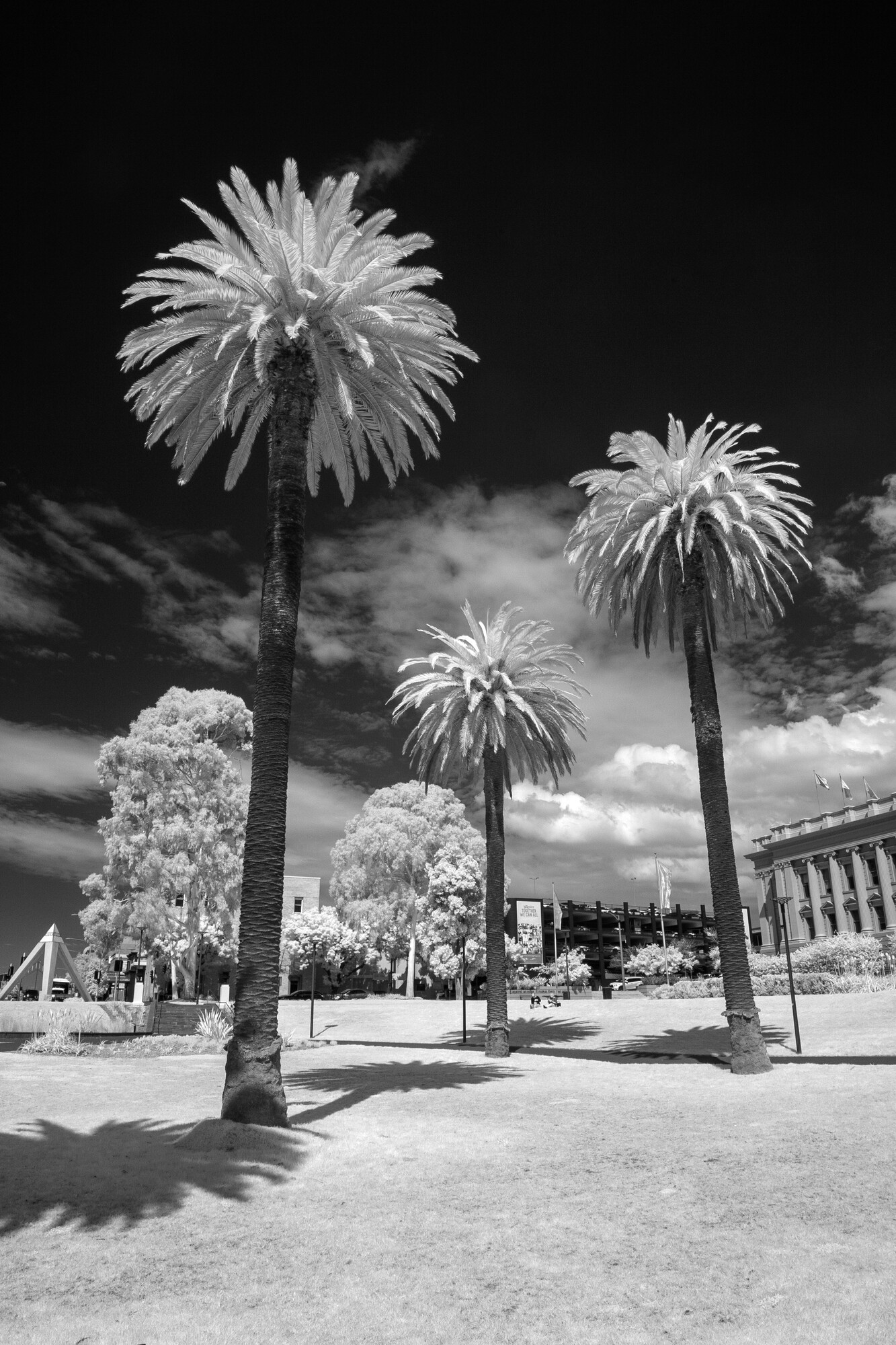 photographer Johno from oz infrared  photo