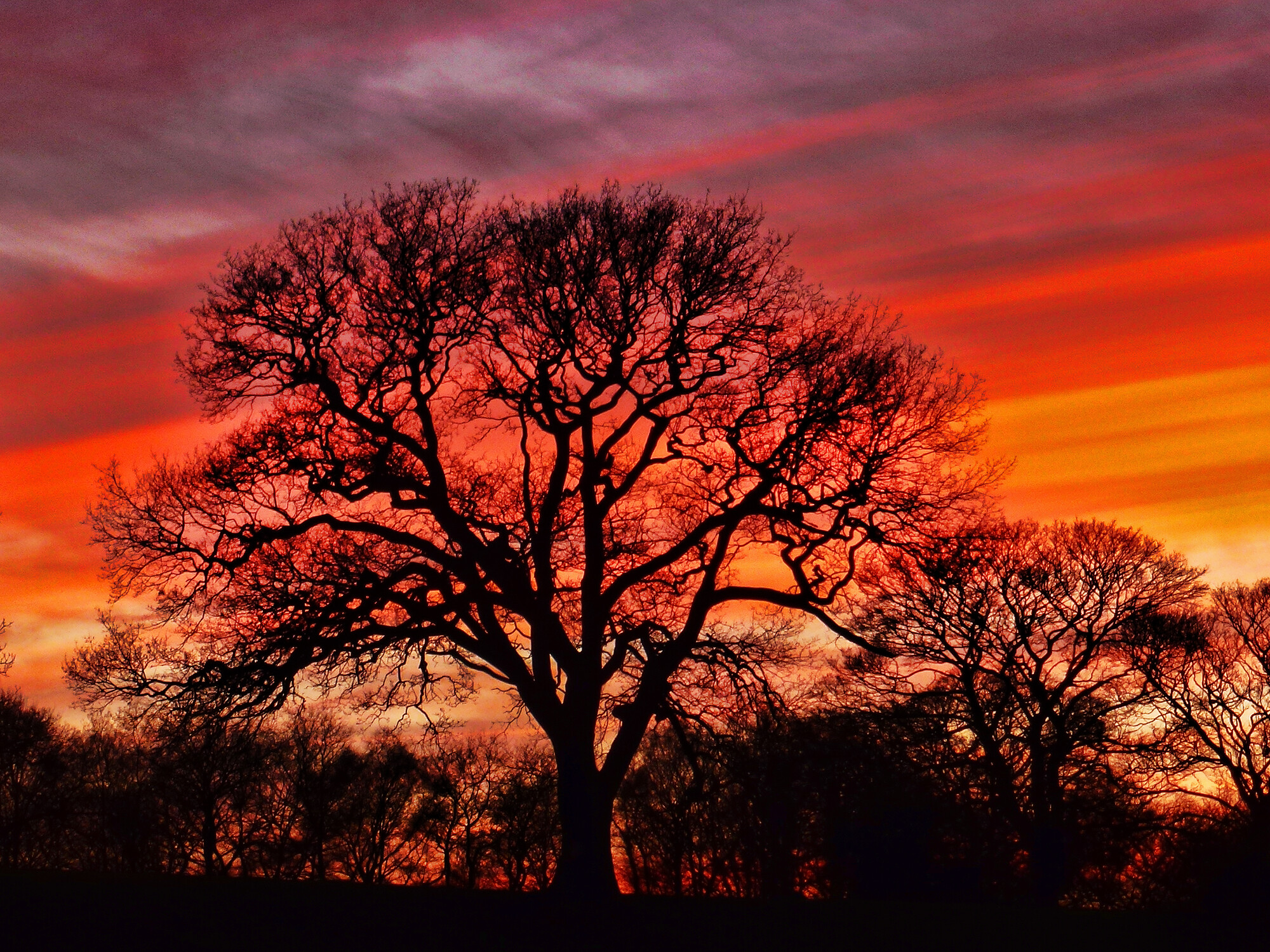 photographer WPNPHOTOIMAGES landscape  photo taken at Cheshire
