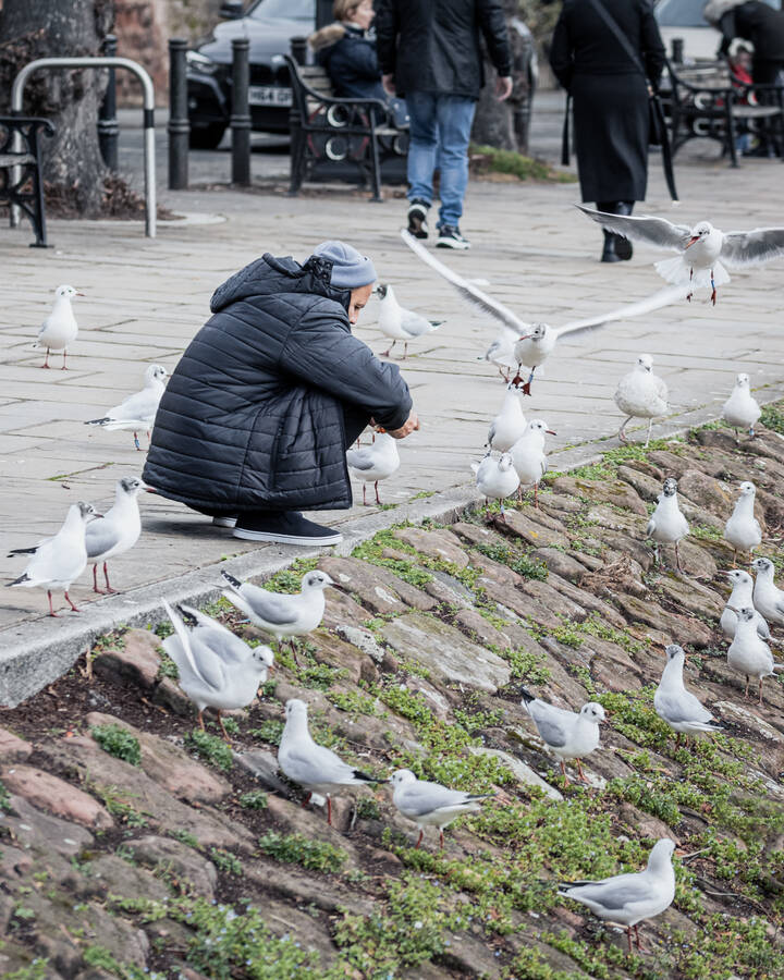 photographer TaurusPix street  photo taken at Chester, UK
