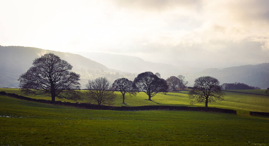 photographer Wilsonfotografie landscape  photo