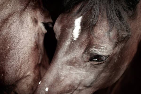 photographer photodokken uncategorized  photo