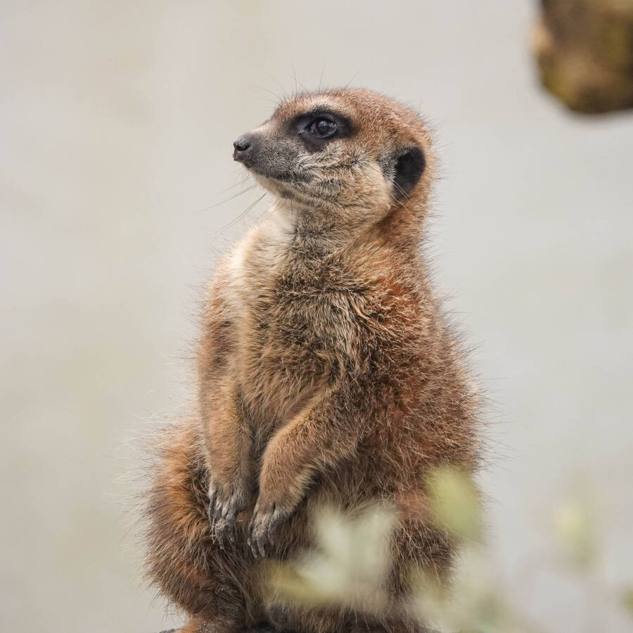 photographer Jan van Dijk uncategorized  photo