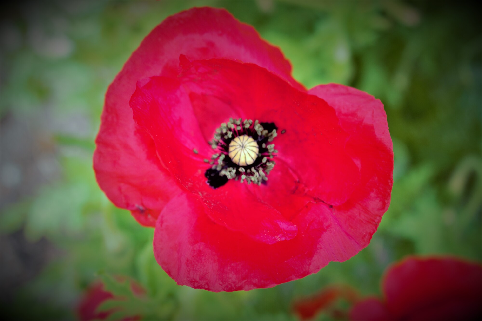 photographer 2wenty9 Media uncategorized  photo