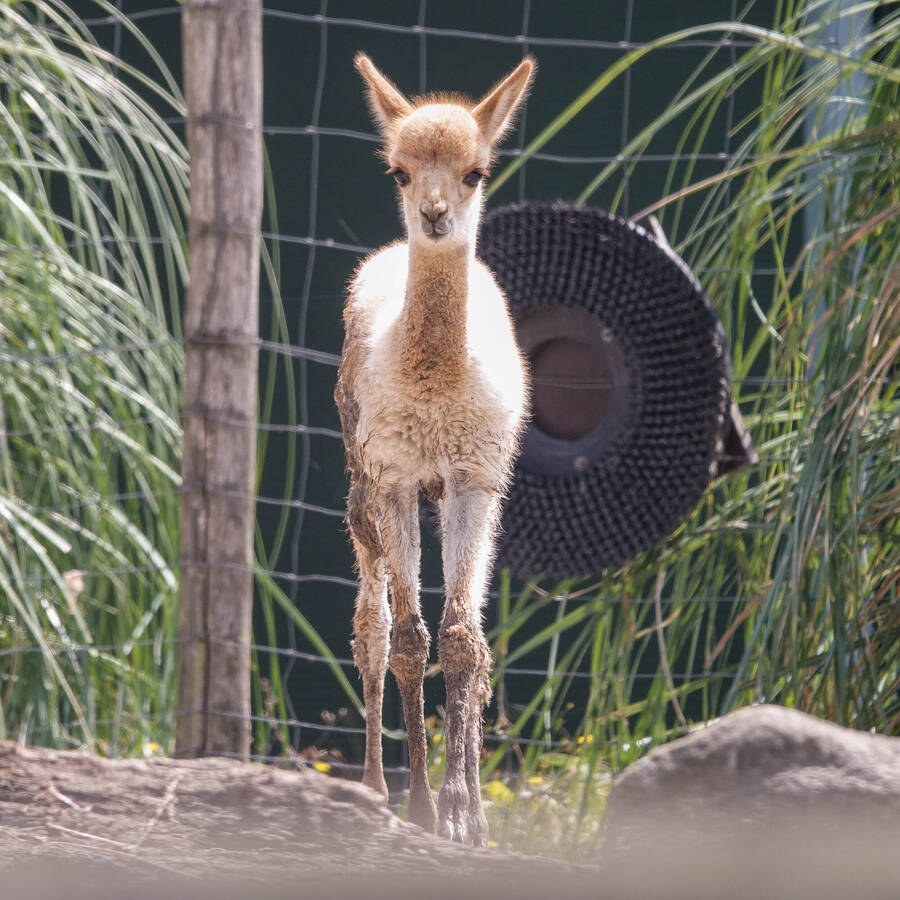 photographer Jan van Dijk uncategorized  photo