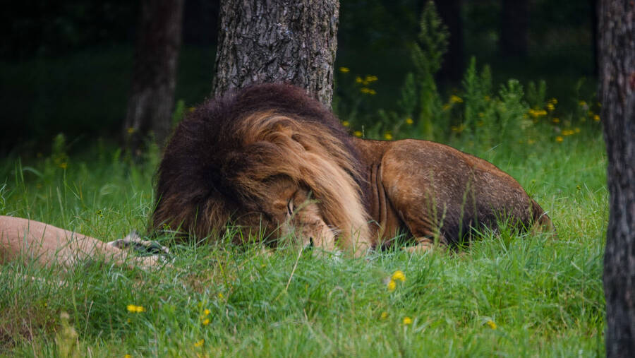 photographer Jan van Dijk uncategorized  photo