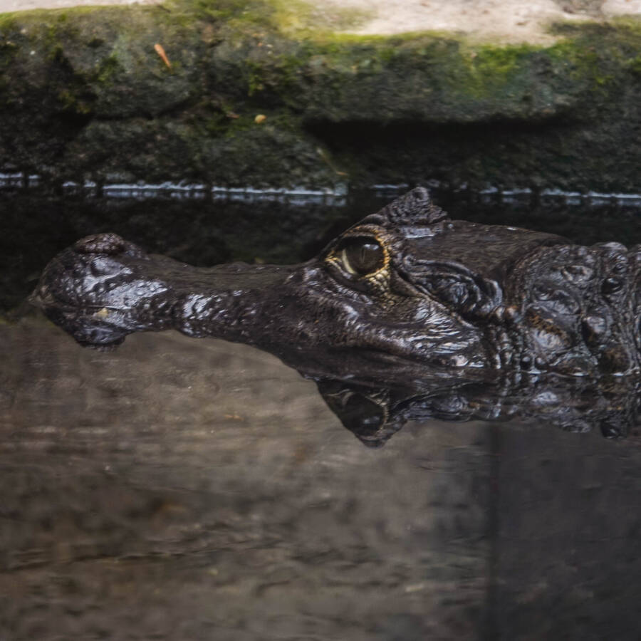 photographer Jan van Dijk uncategorized  photo