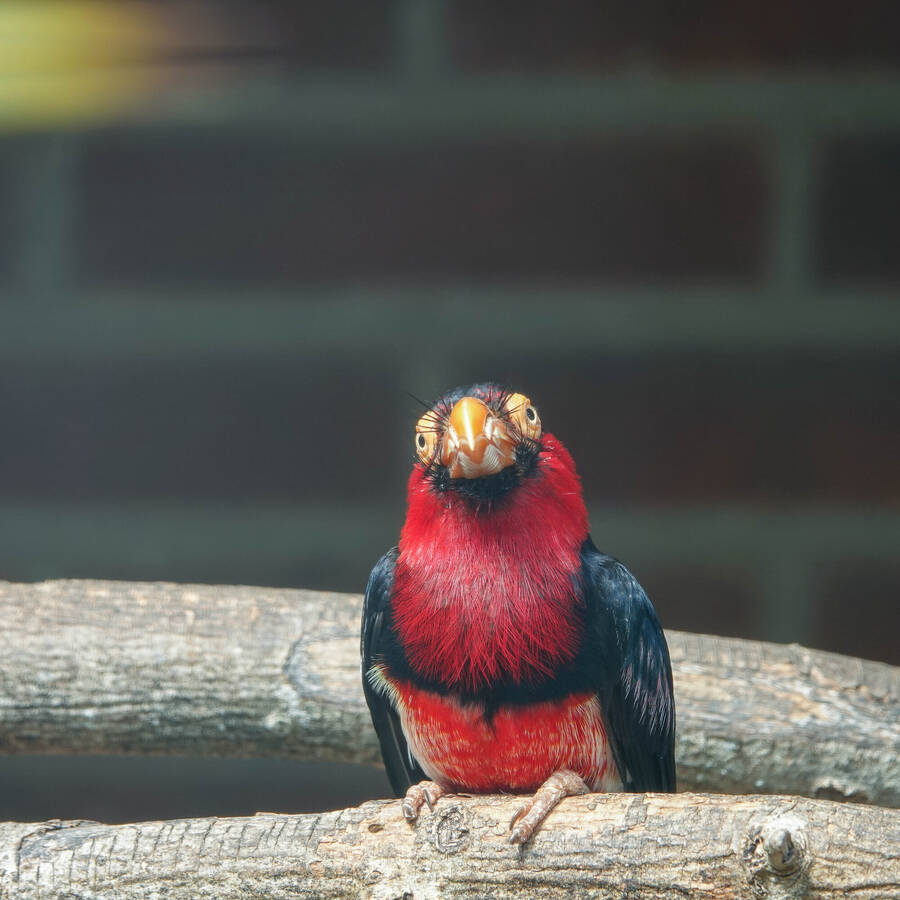 photographer Jan van Dijk uncategorized  photo