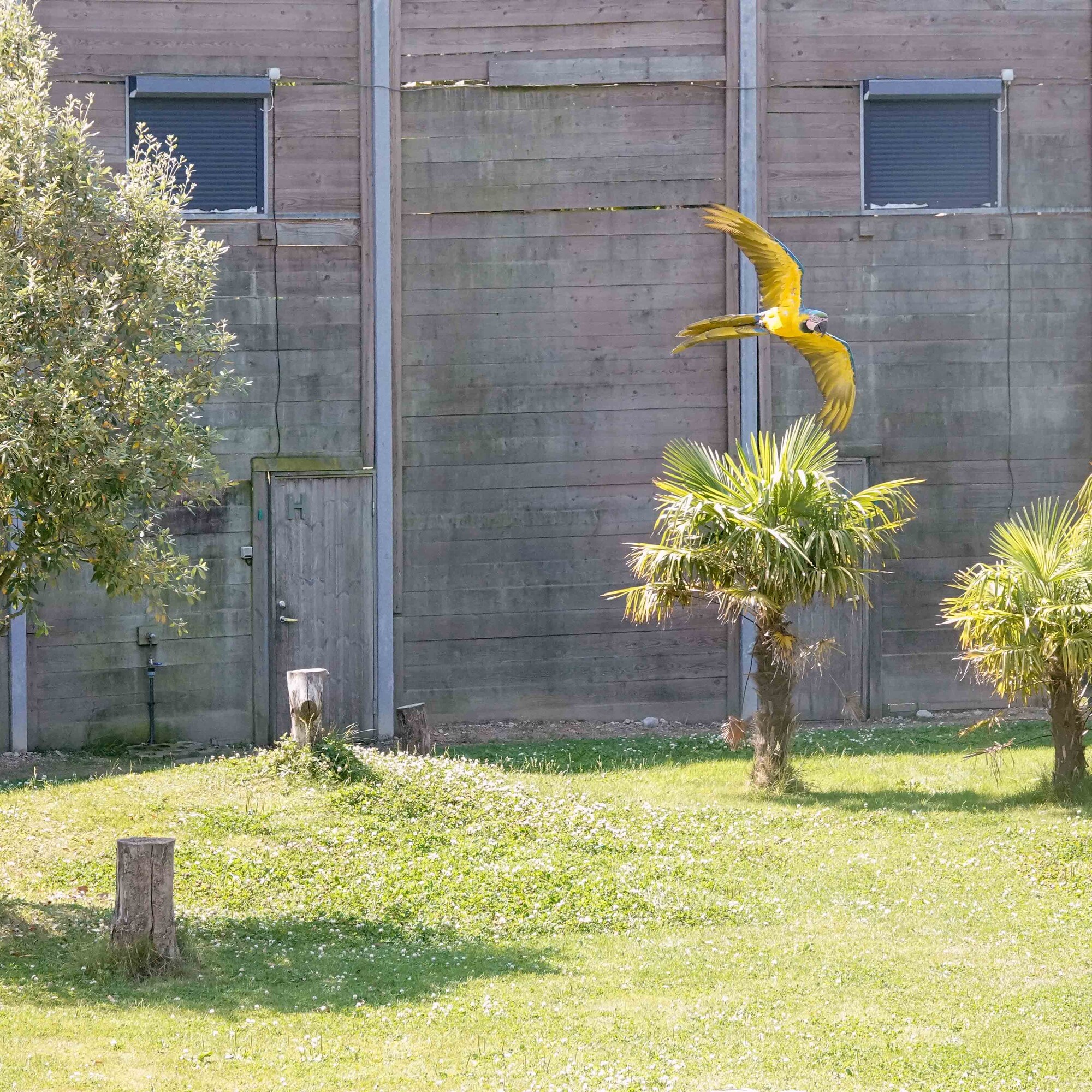 photographer Jan van Dijk uncategorized  photo