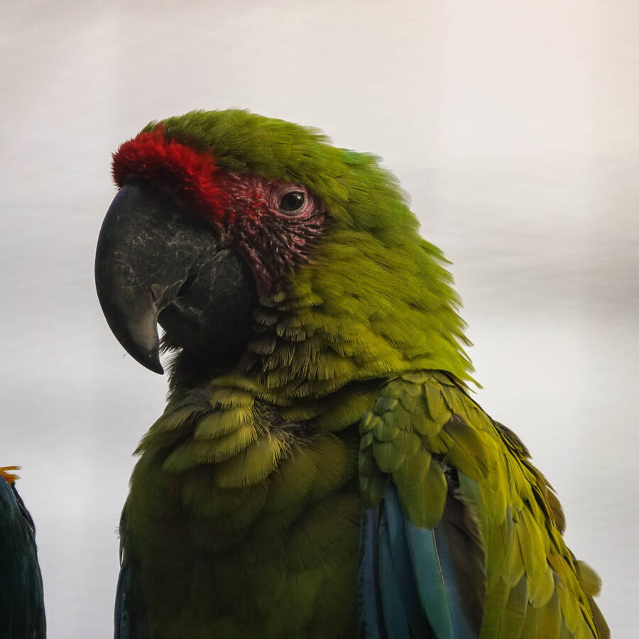 photographer Jan van Dijk uncategorized  photo