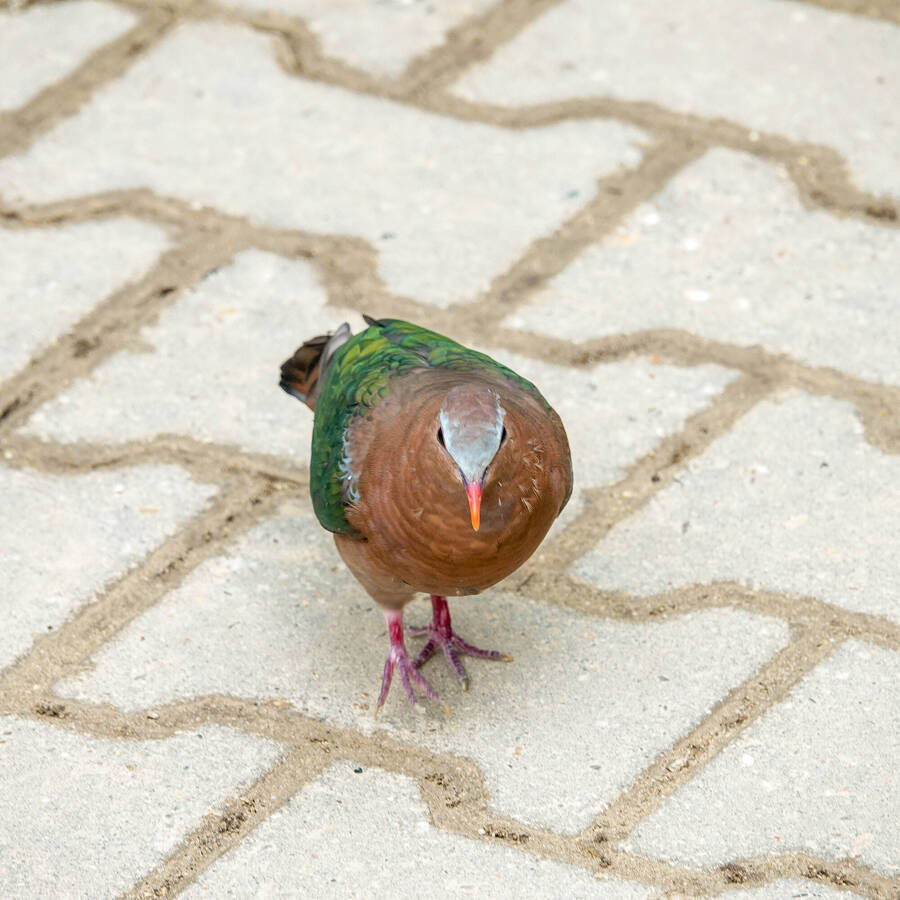 photographer Jan van Dijk uncategorized  photo