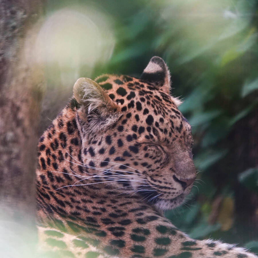 photographer Jan van Dijk uncategorized  photo