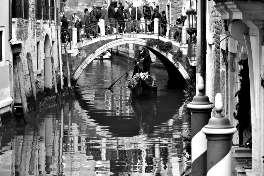 photographer Bitten by the Bug travel  photo taken at Venice, Italy