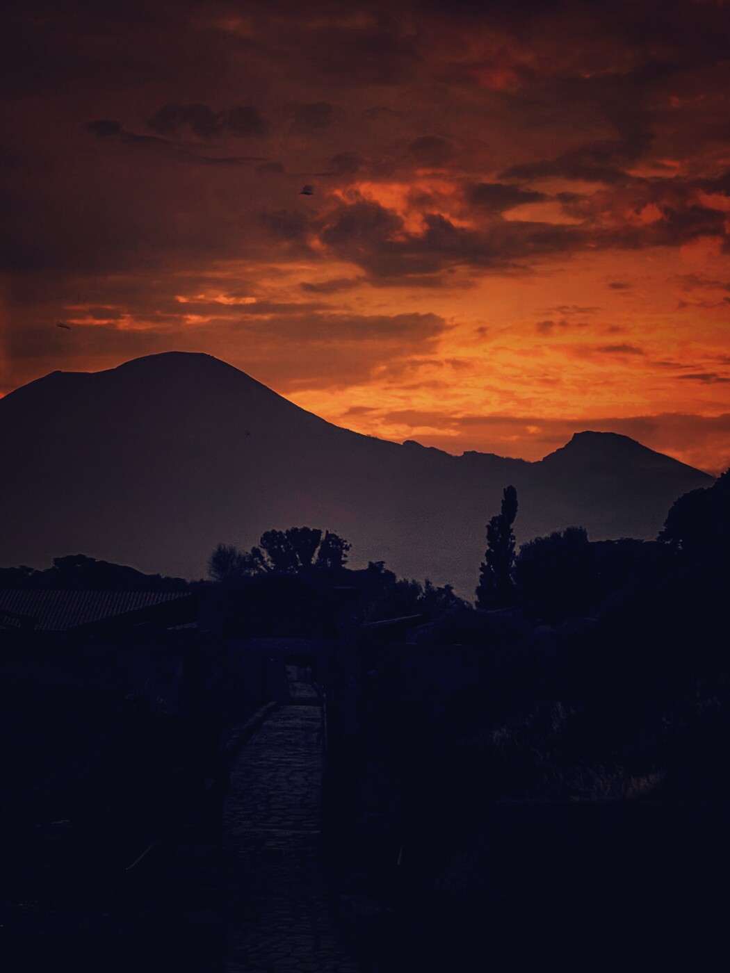 photographer Photographer Gino Cinganelli documentary  photo taken at Pompeii