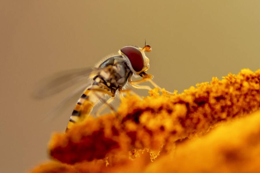 photographer The Opportunist uncategorized modelling photo