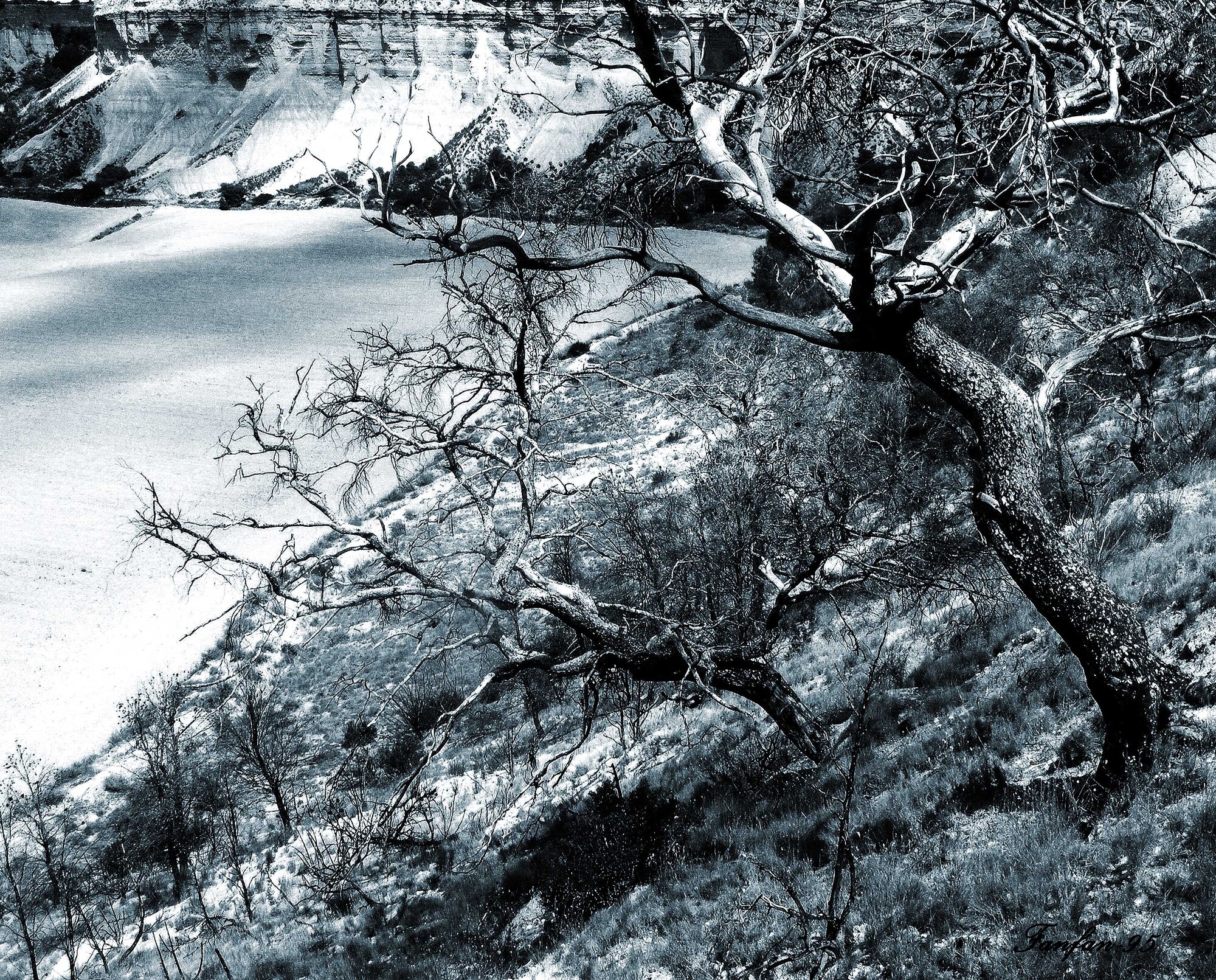 photographer Fanfan95 uncategorized  photo