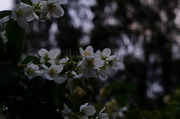photographer PhotoUmami uncategorized  photo