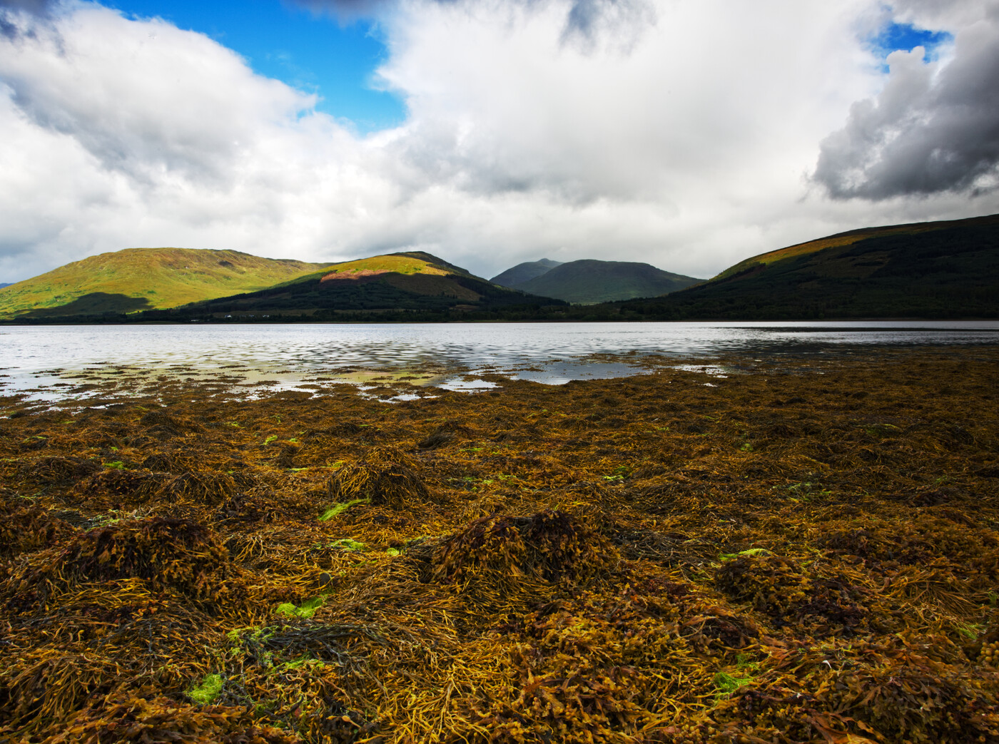 photographer Dangermouse landscape  photo taken at Scotland