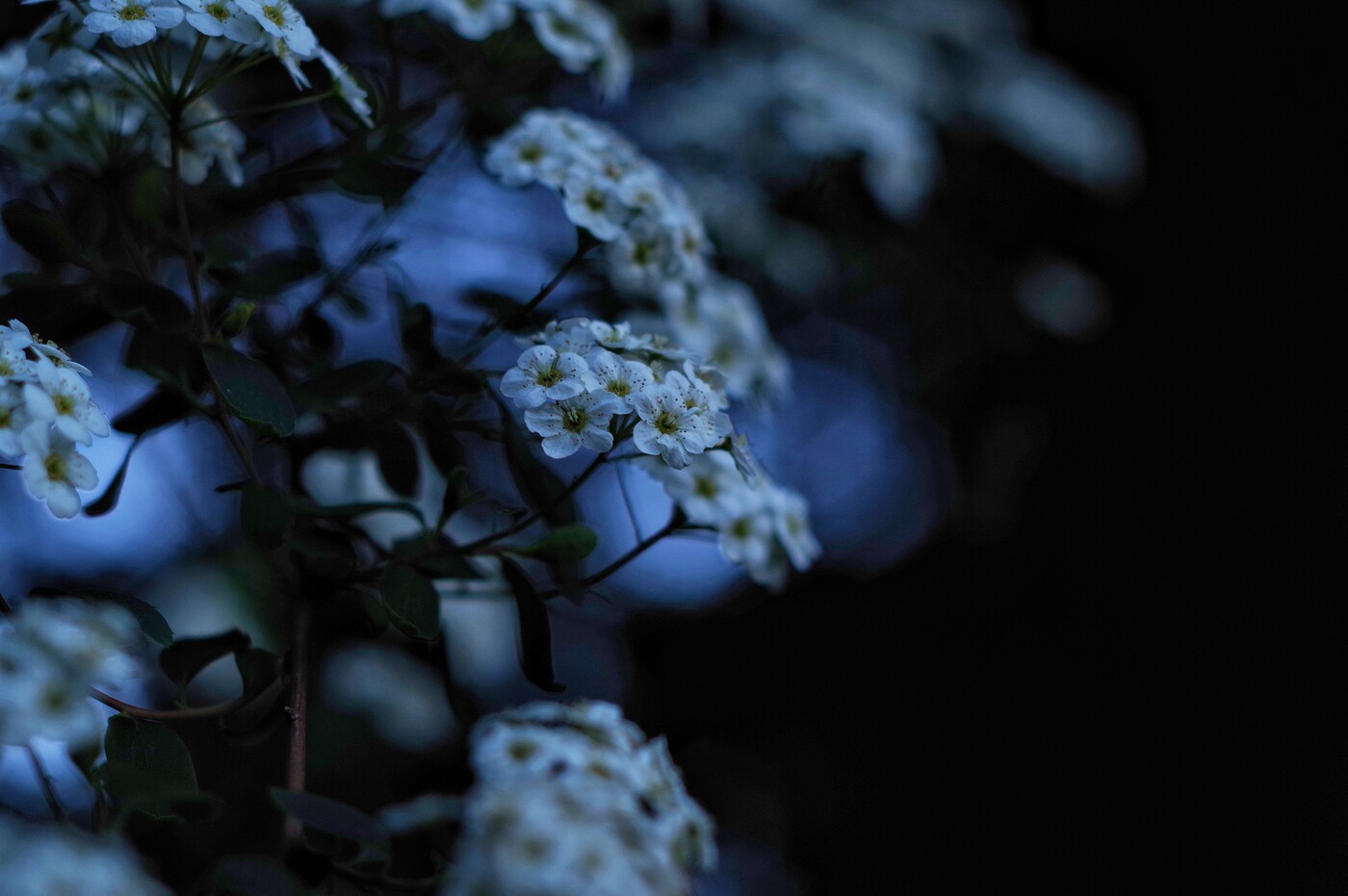 photographer PhotoUmami uncategorized  photo