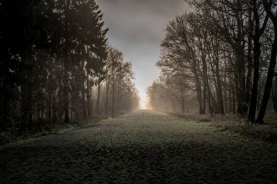 photographer Bradders landscape  photo