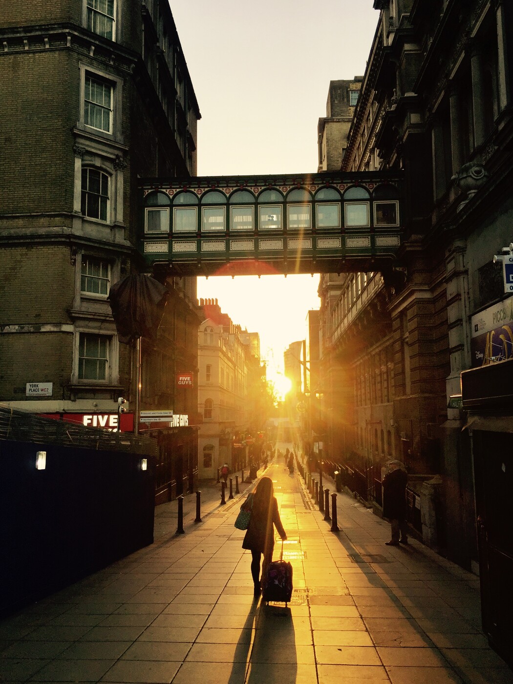 photographer Gingersnap uncategorized  photo