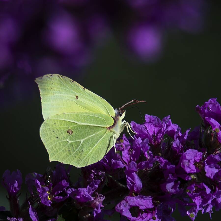 photographer The Opportunist uncategorized modelling photo