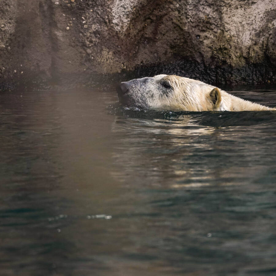 photographer Jan van Dijk uncategorized  photo