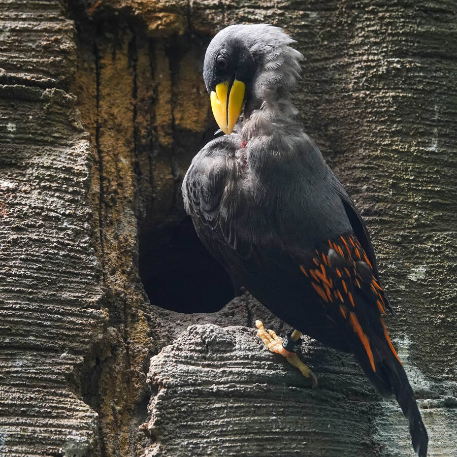 photographer Jan van Dijk uncategorized  photo