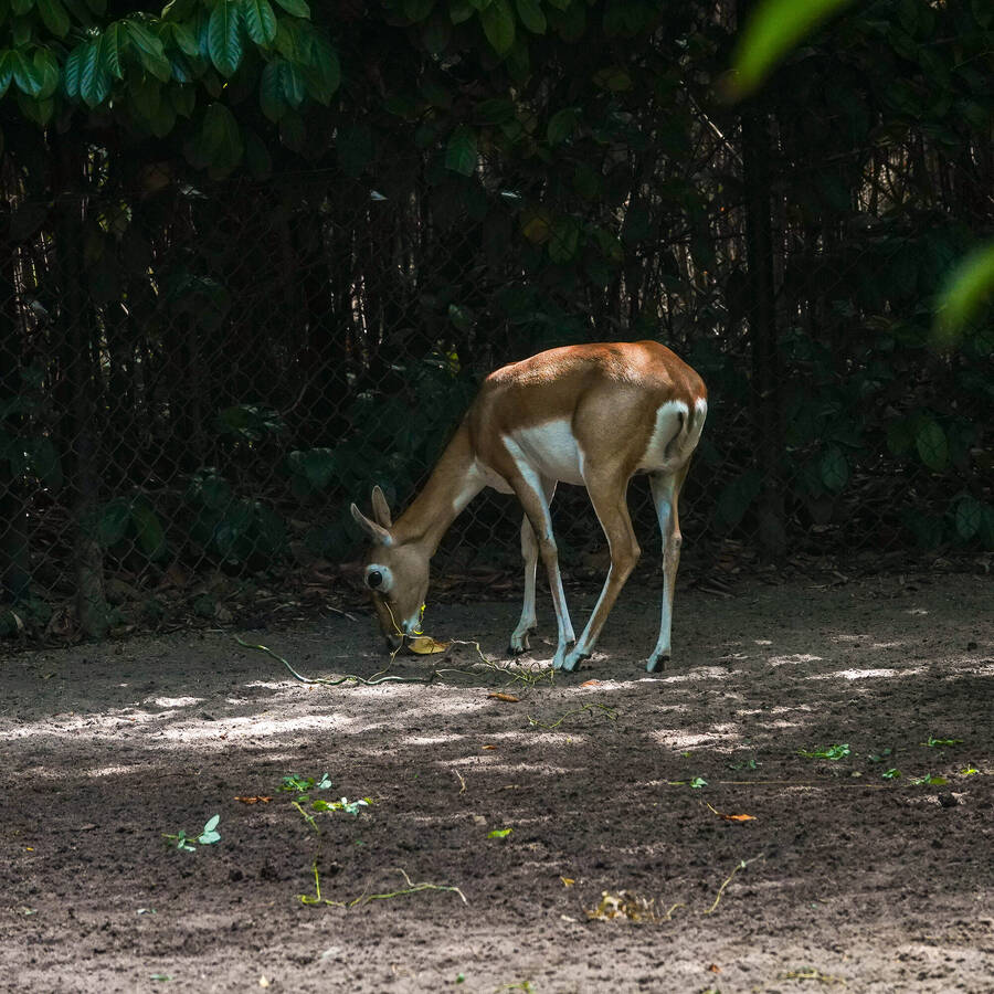 photographer Jan van Dijk uncategorized  photo