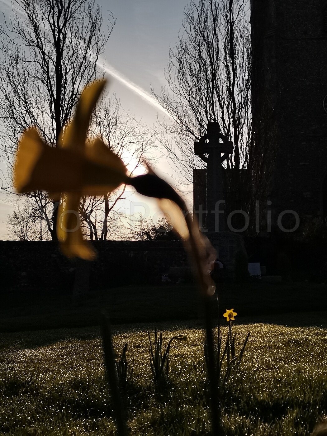 photographer KentTog outdoors  photo. catching the first rays in the churchyard .